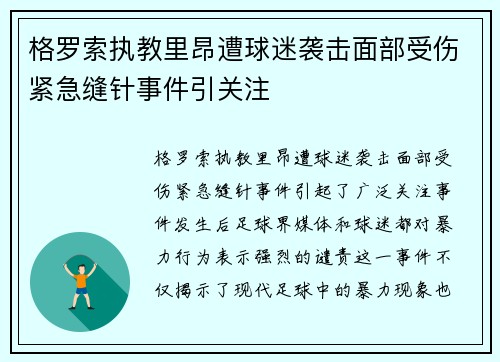 格罗索执教里昂遭球迷袭击面部受伤紧急缝针事件引关注